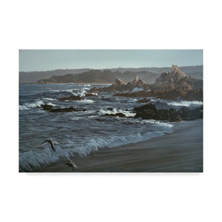 Trademark Fine Art Ron Parker 'Monterrey Dawn' Canvas Art, 30x47 ALI32245-C3047GG